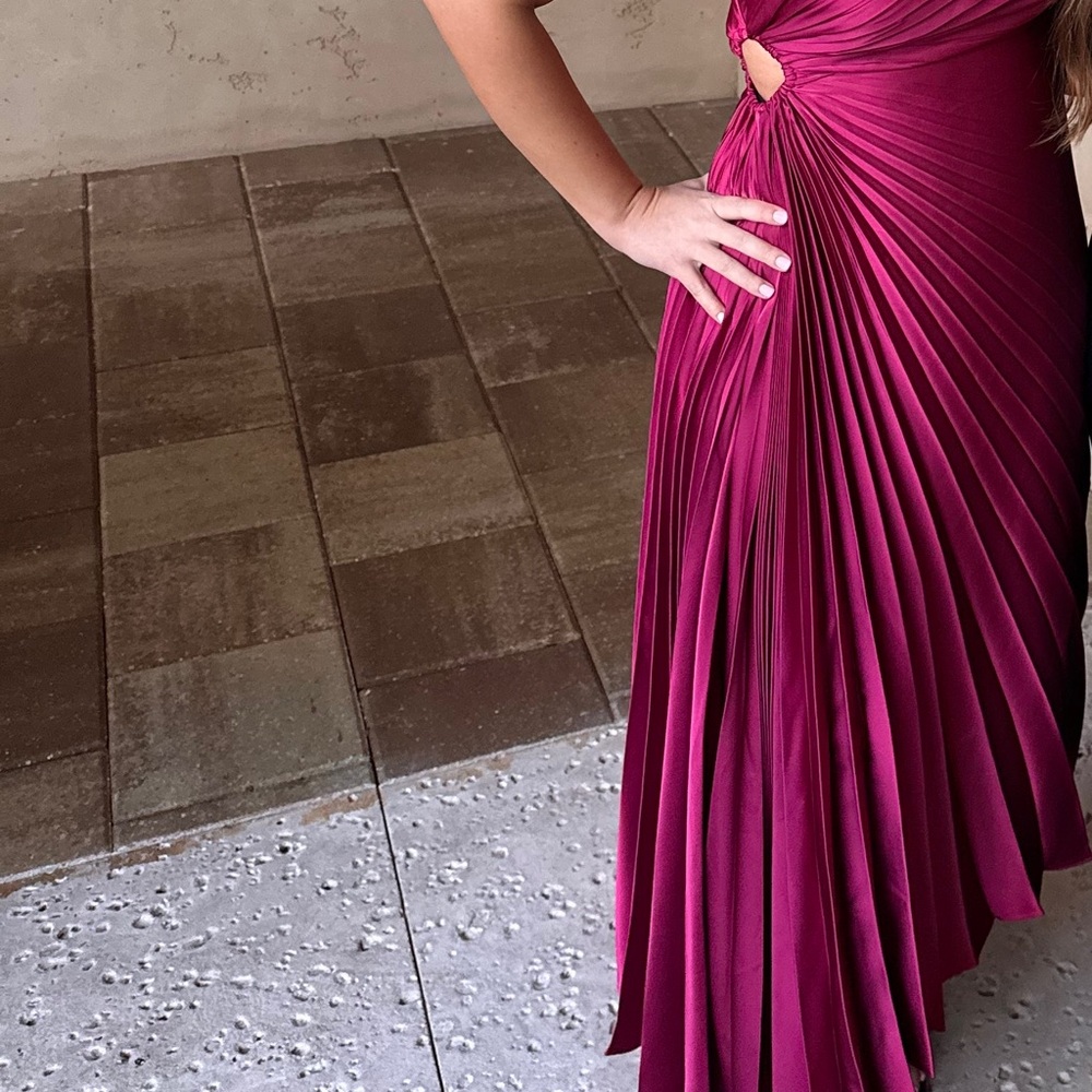 Elegant Magenta Pleated Dress